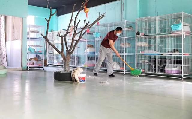 超百万只猫狗，从“钢城”卖到全国