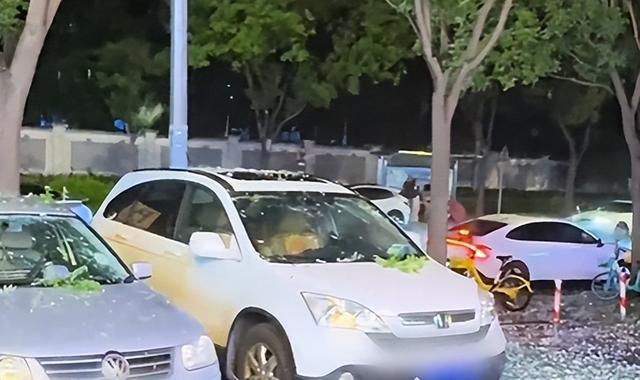 “蛋大”冰雹致车辆毁容！保险能赔吗？河南车主夏季需警惕