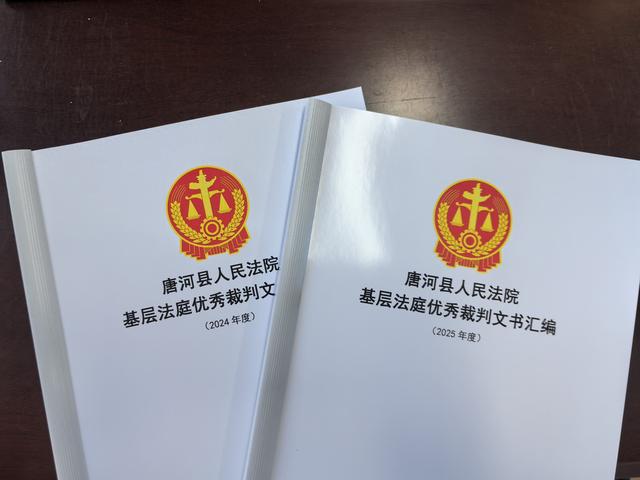 唐河县法院：文书共享“小切口”聚起审判质效“大能量”