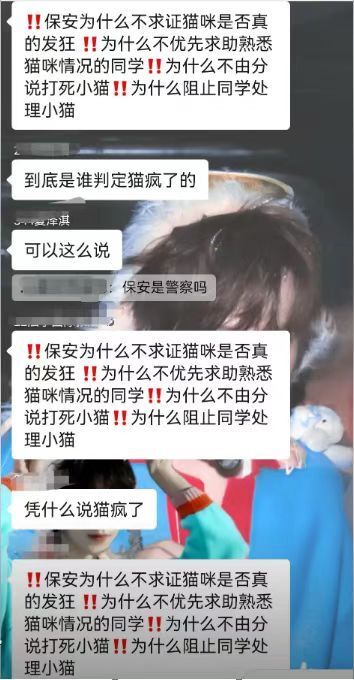 北理工珠海学院保安当众杖毙流浪猫引争议，校方回应：它抓伤多人，安保人员已停职调岗