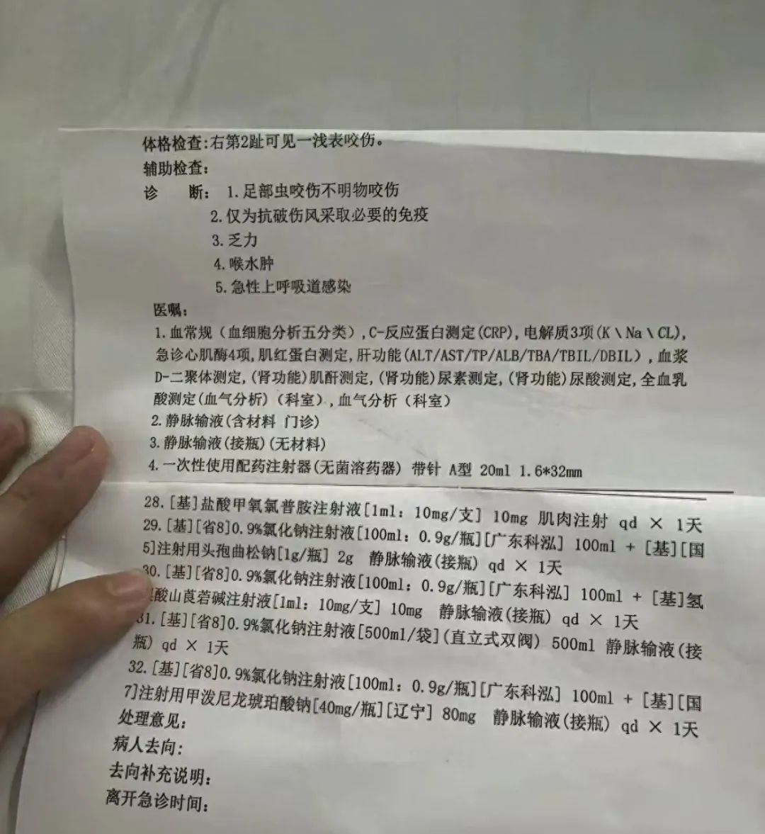 痛心！27岁女子被不明物咬伤后身亡，紧急提醒