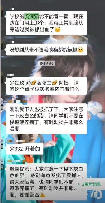 北理工珠海学院保安当众杖毙流浪猫引争议，校方回应：它抓伤多人，安保人员已停职调岗