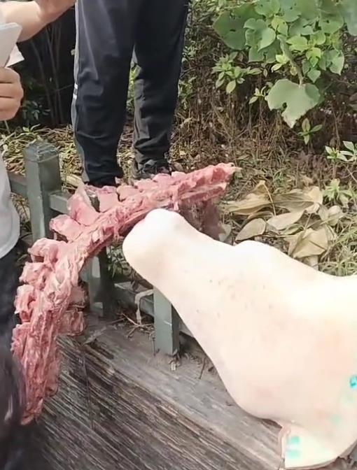 自贡富顺一小学食堂被举报使用劣质肉，官方通报：原辅料已就地封存，正在检验检测