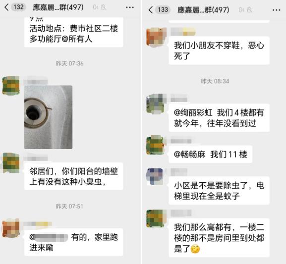 不少人家里被小黑虫“入侵”，墙壁窗户全部爬满！一到晚上更严重，还有一股臭味