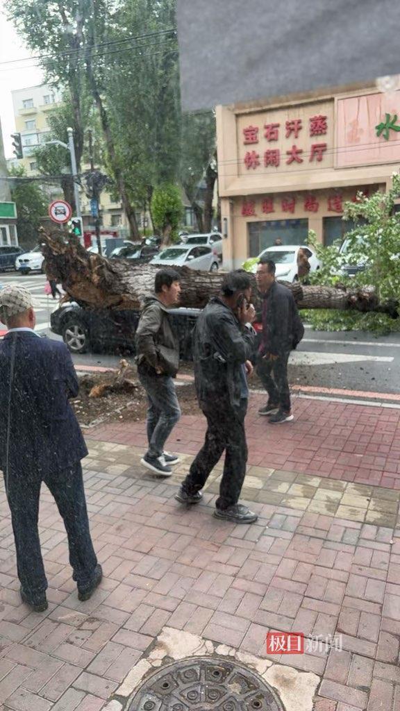 微信图片_20250611112400.jpg