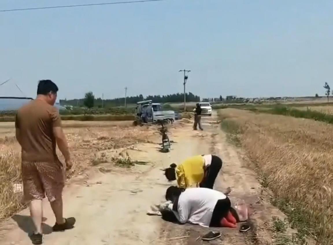 河北献县一收割机触碰电线农机手触电，两女子跪地按压抢救，医院证实没救过来