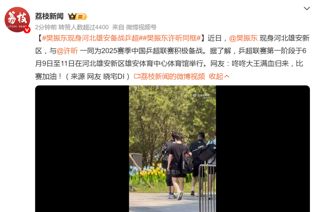 樊振东、许昕现身河北雄安，备战2025乒超联赛！此前已公布的女团名单，平野美宇与孙颖莎属于深圳大学，张本美和为成都高新若水居效力