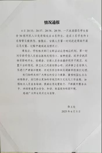 北理工珠海学院保安当众杖毙流浪猫引争议，校方回应：它抓伤多人，安保人员已停职调岗