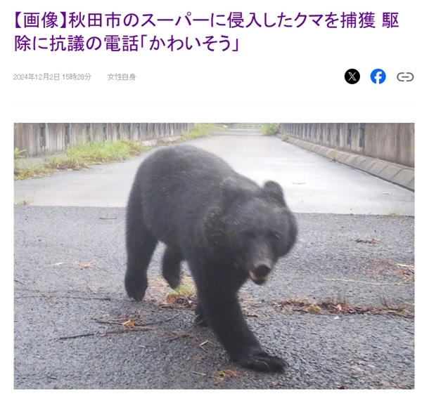 日本一机场有熊出没在跑道上撒欢：致10个航班取消