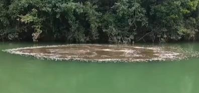 湖南慈利一河道冒出大片黑水又消失，当地：正调查