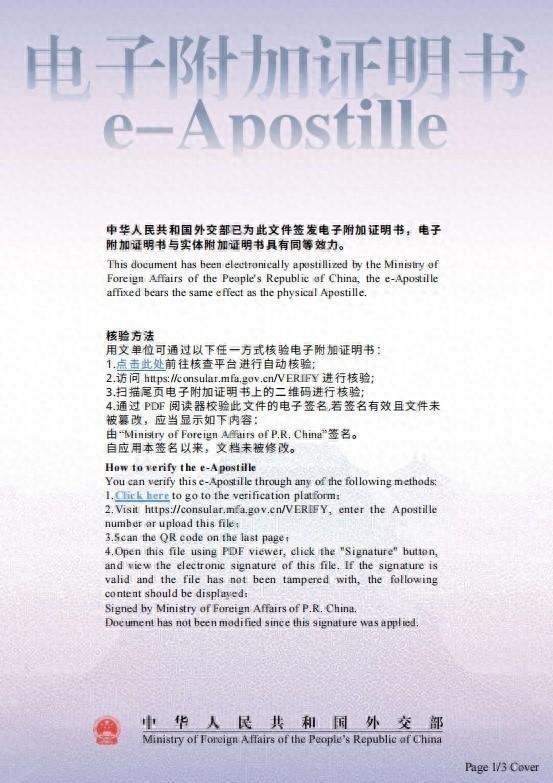 外交部将试点签发电子附加证明书