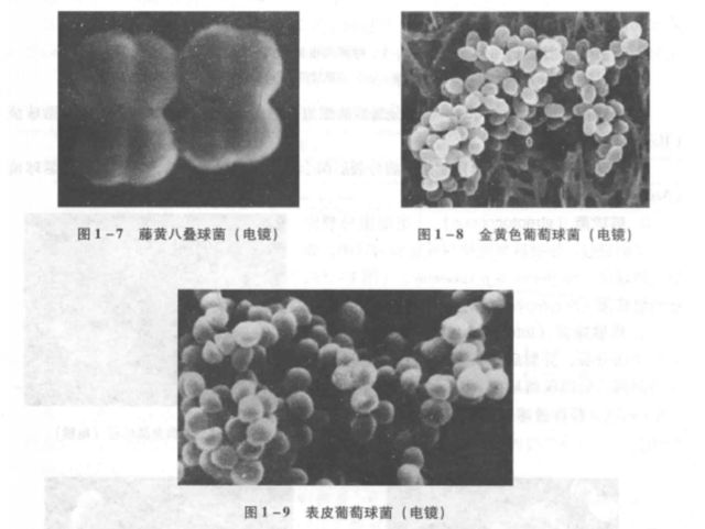 穿时间长了，衣服会“死”？
