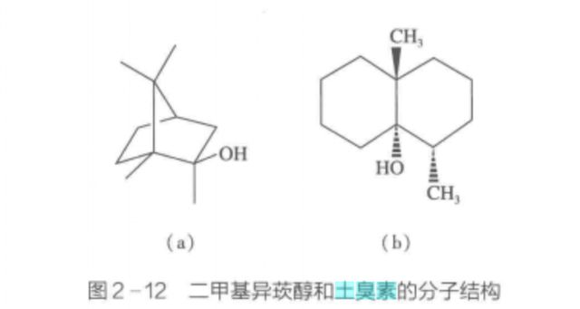 穿时间长了，衣服会“死”？