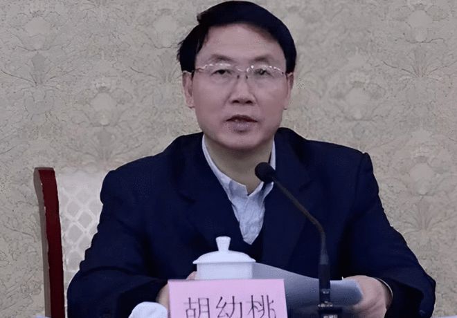 中央纪委又打一“虎”
